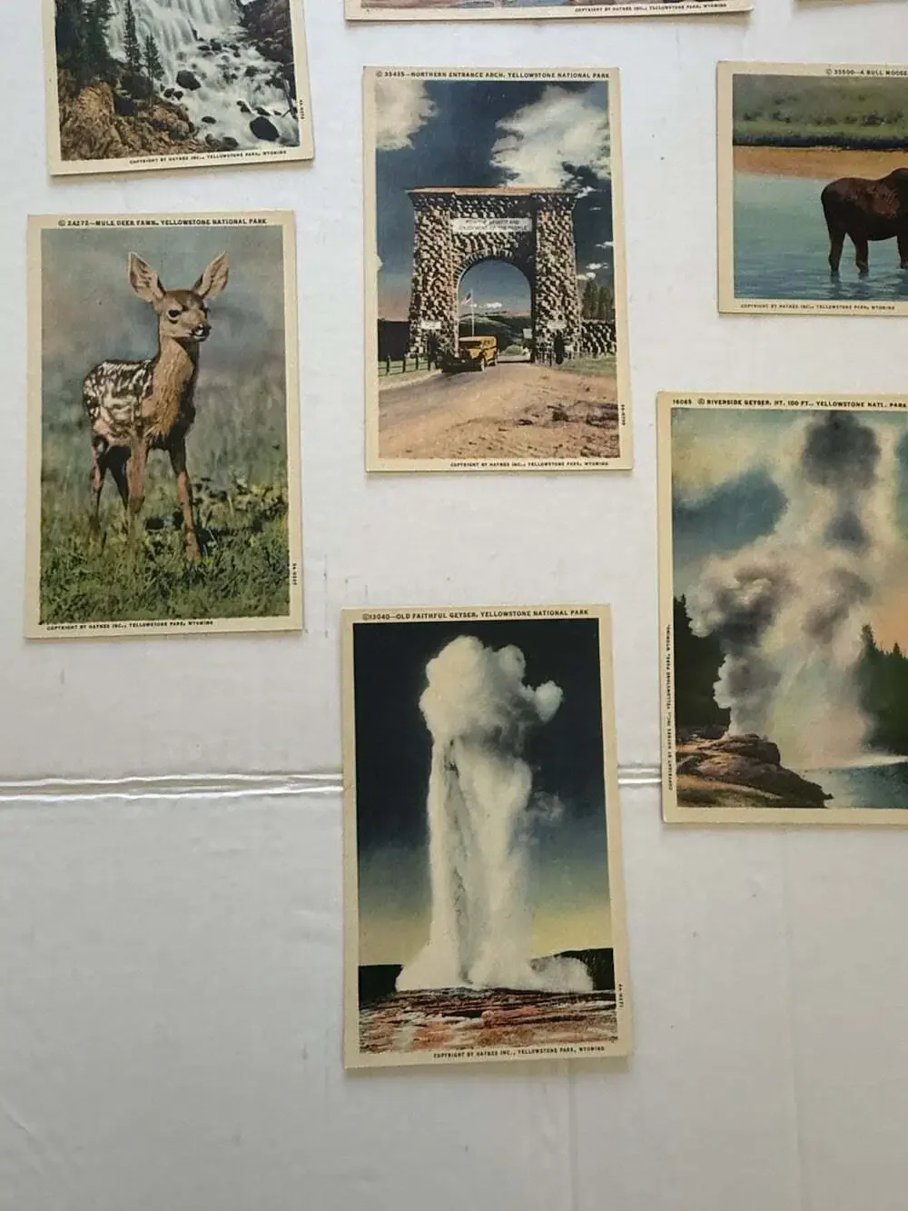 18 Vintage Yellowstone National Park Linen Postcards Unposted Old Faithful Wildl